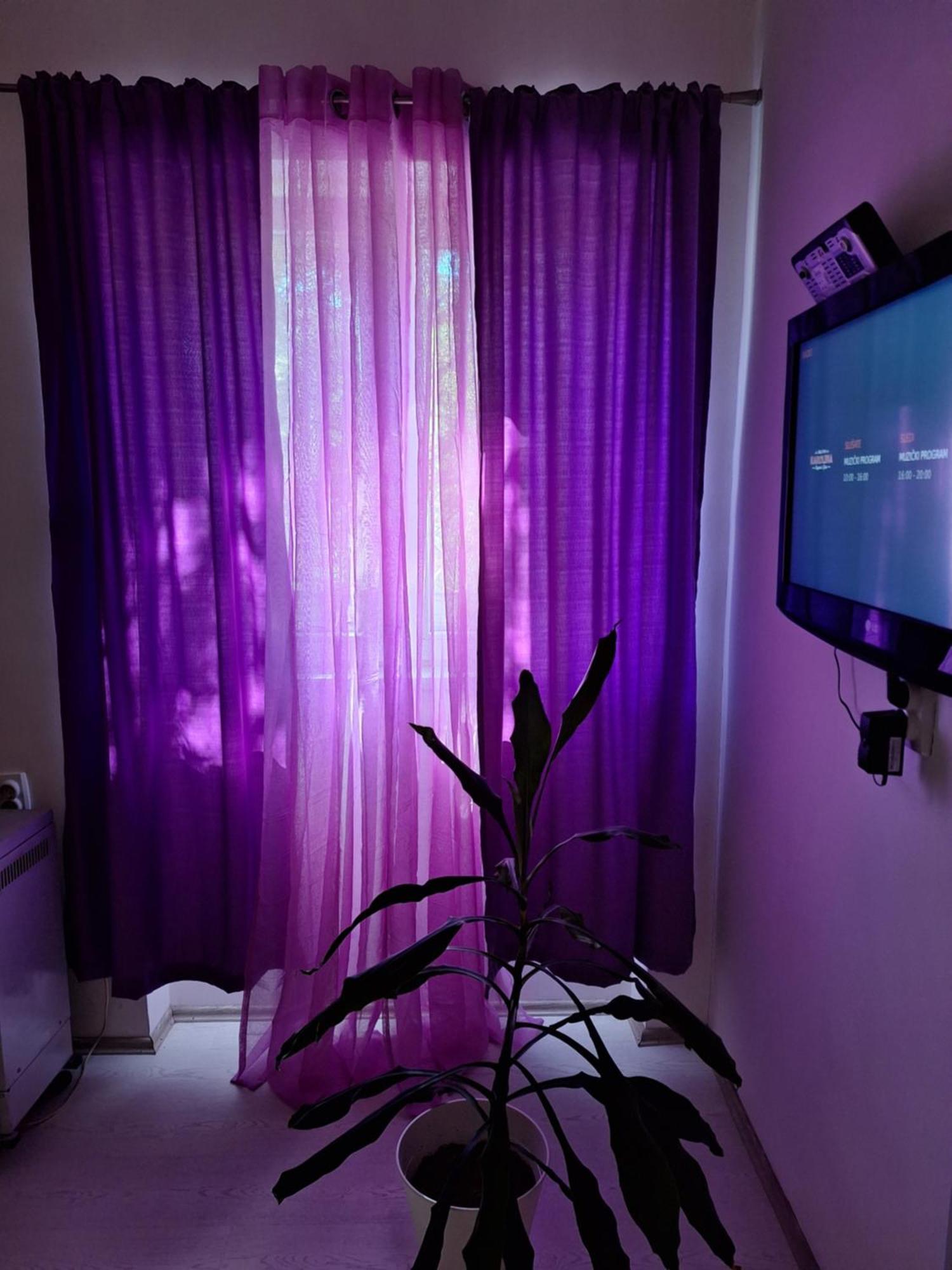Apartman Maja Apartment Белград Екстериор снимка