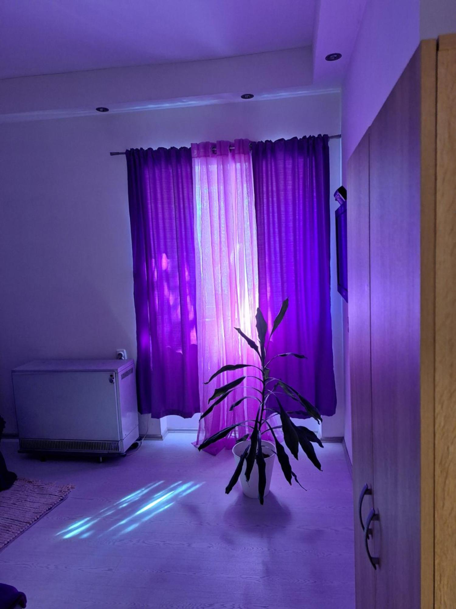 Apartman Maja Apartment Белград Екстериор снимка